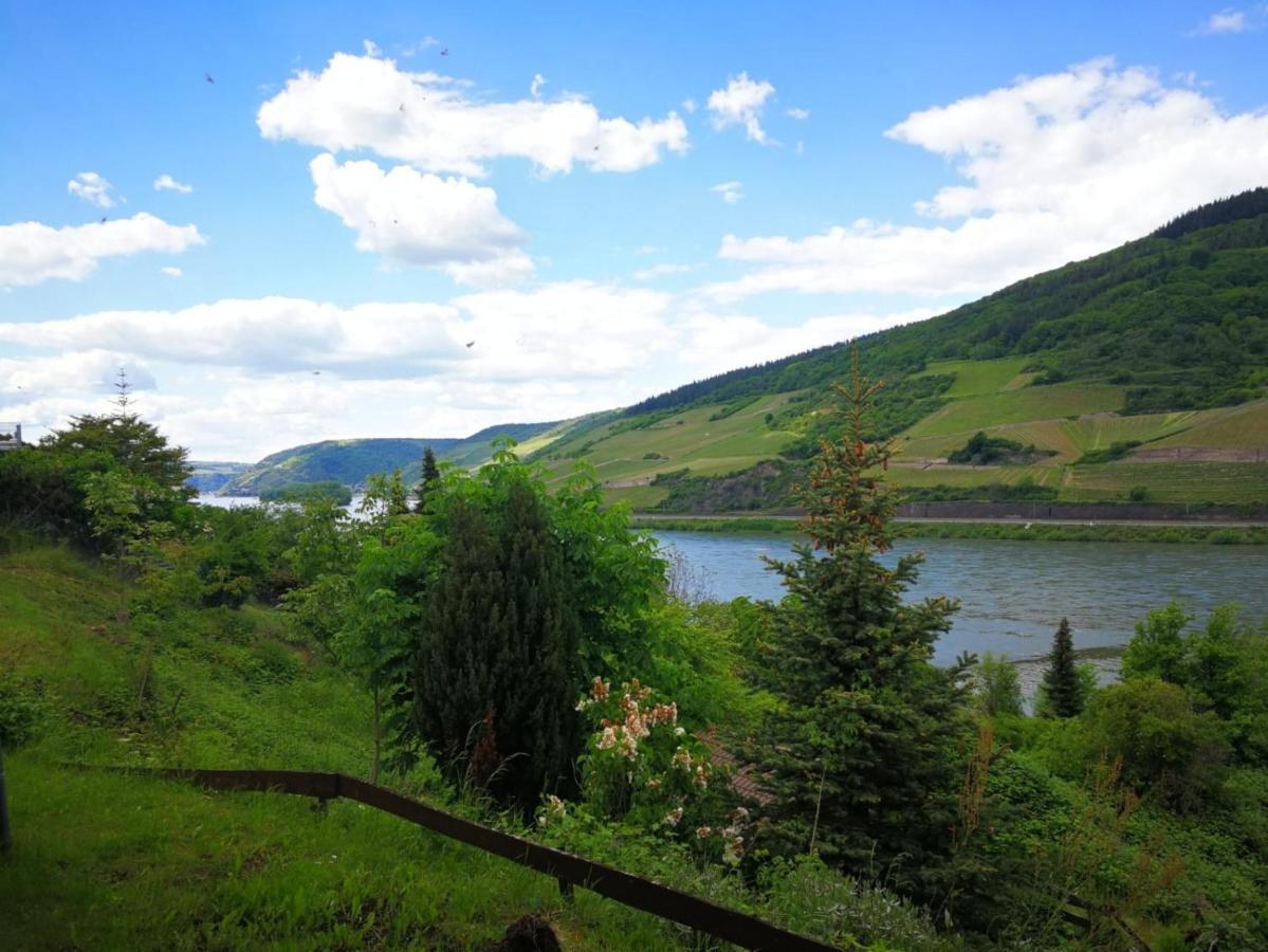 Wunderschöne Aussicht garantiert Trechtingshausen Exterior foto