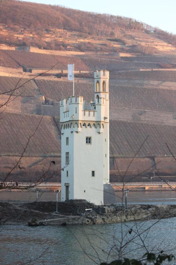 Wunderschöne Aussicht garantiert Trechtingshausen Exterior foto