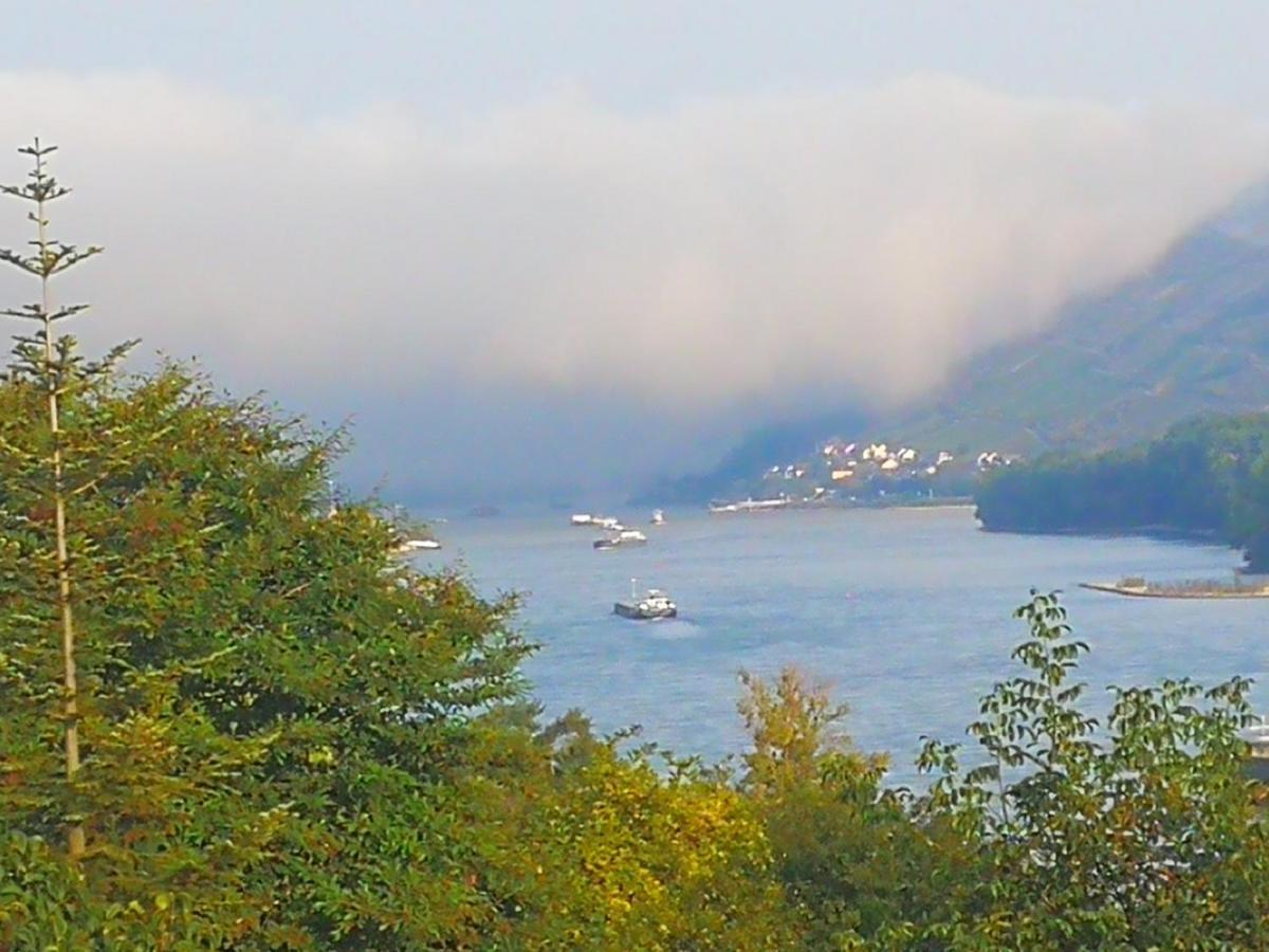 Wunderschöne Aussicht garantiert Trechtingshausen Exterior foto